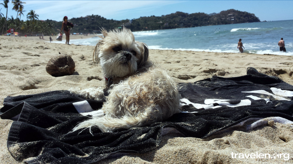 Sophie the Beach Bum